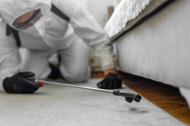 Professional Ant Control technician working in Clear Lake, IA