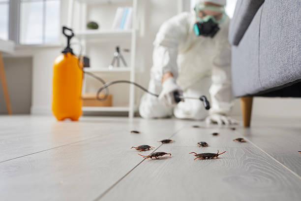 Trusted Fumigation Services service in Clear Lake, IA - Nex Pest Control