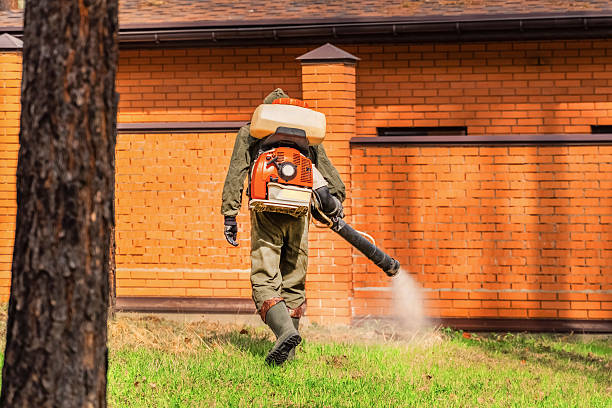 Trusted Bed Bug Control service in Clear Lake, IA - Nex Pest Control